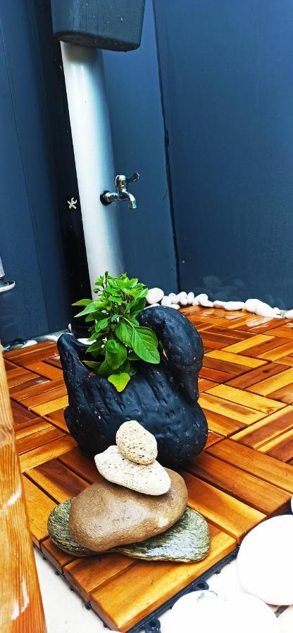 Accessible Luxury Villa อาร์เตมีดา ภายนอก รูปภาพ